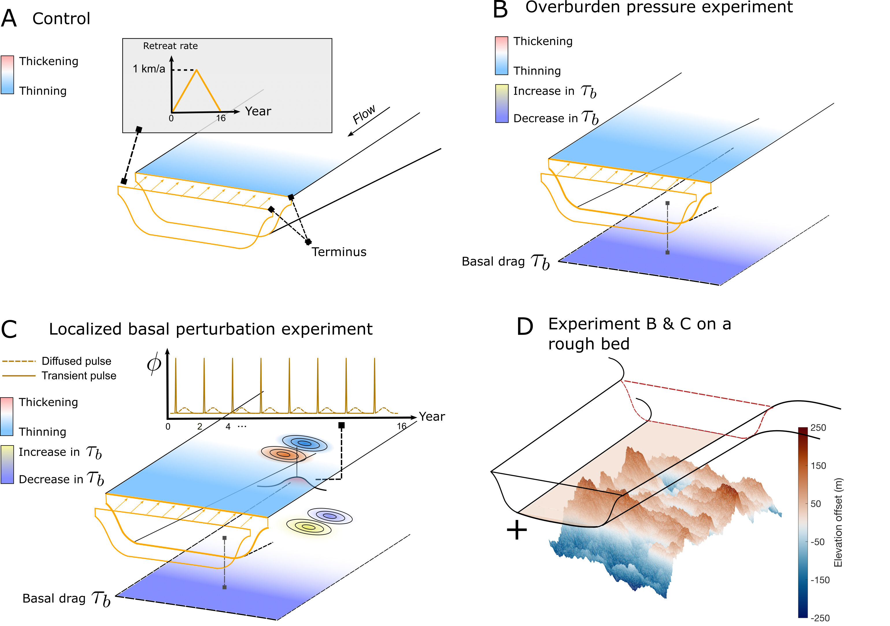 thinning-model